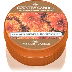 Country Candle Golden Mums & Honey Crisp bougie chauffe-plat 42 g