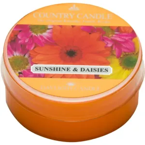 Country Candle Sunshine & Daisies bougie chauffe-plat 42 g