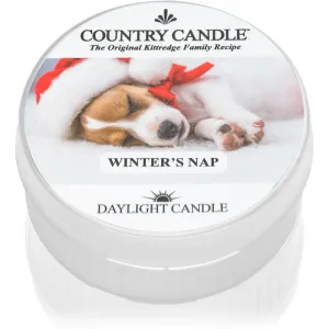 Country Candle Winter’s Nap bougie chauffe-plat 42 g