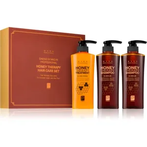 DAENG GI MEO RI Honey Therapy Professional Hair Care Set coffret cadeau (nutrition et hydratation)