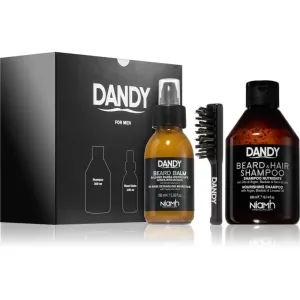 DANDY Beard gift box coffret cadeau (pour la barbe)