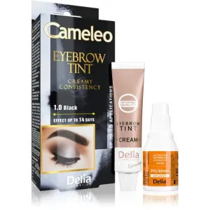 Delia Cosmetics Cameleo crème colorante professionnelle sourcils sans ammoniaque teinte 1.0 Black 15 ml #107615