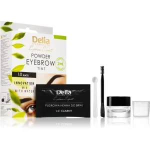 Delia Cosmetics Eyebrow Expert crème teintée sourcils teinte 1.0 Black 4 g