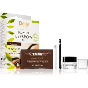 Delia Cosmetics Eyebrow Expert crème teintée sourcils teinte 4.0 Brown 4 g