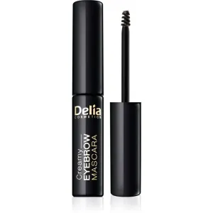 Delia Cosmetics Eyebrow Expert mascara sourcils teinte Graphite 4 ml