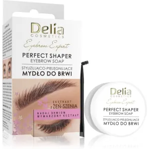 Delia Cosmetics Eyebrow Expert Perfect Shaper savon sourcils 10 ml