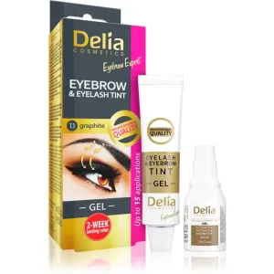 Delia Cosmetics Eyebrow Expert teinture sourcils et cils avec activateur teinte 1.1. Graphite 2 x 15 ml #117382
