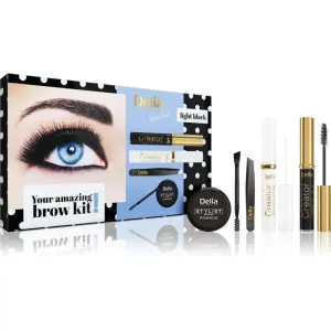 Delia Cosmetics Eyebrow Expert Light Black coffret cadeau sourcils #117121