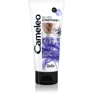 Delia Cosmetics Cameleo Silver après-shampoing pour cheveux blonds et gris anti-jaunissement 200 ml
