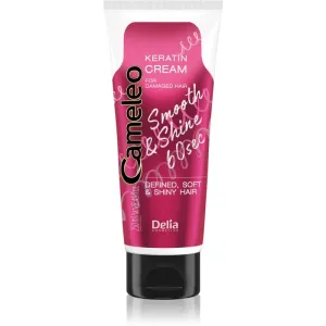 Delia Cosmetics Cameleo Smooth & Shine 60 sec crème cheveux pour des cheveux brillants et doux 250 ml