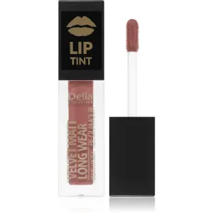 Delia Cosmetics Lip Tint rouge à lèvres liquide mat teinte 013 SIMPLE CHICK 5 ml