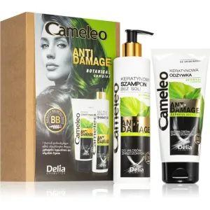 Delia Cosmetics Cameleo Anti Damage coffret cadeau (pour cheveux abîmés et fragiles)
