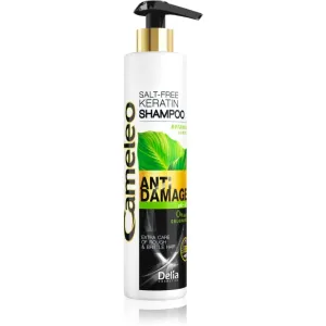 Delia Cosmetics Cameleo BB shampoing à la kératine pour cheveux abîmés 250 ml