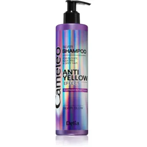 Delia Cosmetics Cameleo Silver shampoing anti-jaunissement 250 ml #109357