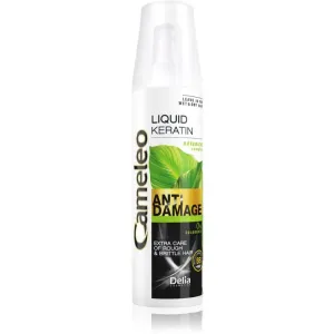 Delia Cosmetics Cameleo BB kératine liquide en spray pour cheveux abîmés 150 ml
