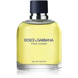 Dolce&Gabbana Pour Homme Eau de Toilette pour homme 125 ml