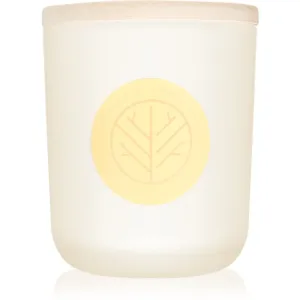 Parfums - DW Home