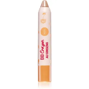 Erborian BB Crayon crème teintée en stick teinte Nude 3 g