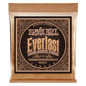 Ernie Ball 2544 Everlast
