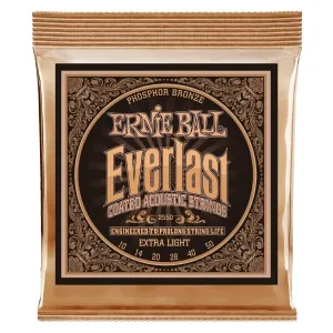 Ernie Ball 2550 Everlast