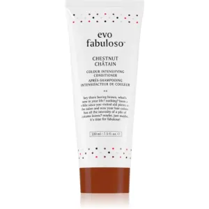 EVO Fabuloso Colour Boosting Treatment masque cheveux pour souligner la couleur de cheveux teinte Chestnut 220 ml