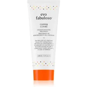 EVO Fabuloso Colour Boosting Treatment masque cheveux pour souligner la couleur de cheveux teinte Copper 220 ml