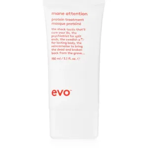 EVO Repair Mane Attention masque hydratant en profondeur pour cheveux abîmés et colorés 150 ml #654199