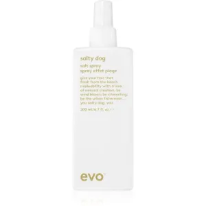 EVO Style Salty Dog spray salé cheveux pour cheveux 200 ml