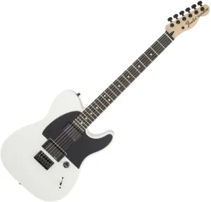 Fender Jim Root Telecaster Flat White #1161