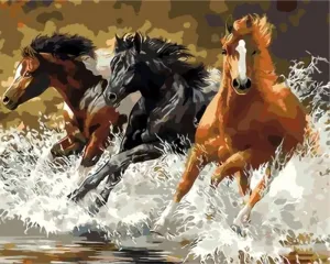 Gaira Peinture par numéros Les chevaux