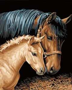 Gaira Peinture par numéros Les chevaux #569175
