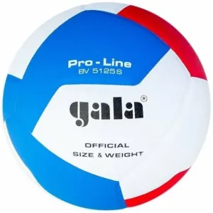 Gala Pro Line 12 Volley-ball en salle