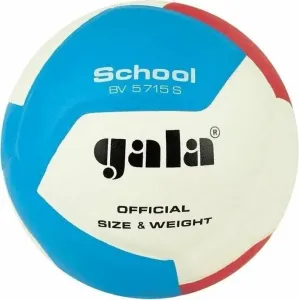 Gala School 12 Volley-ball en salle