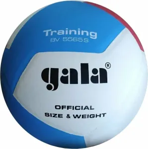Gala Training 12 Volley-ball en salle