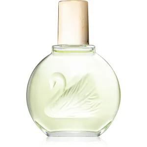 Gloria Vanderbilt Jardin a New York Eau de Parfum pour femme 100 ml