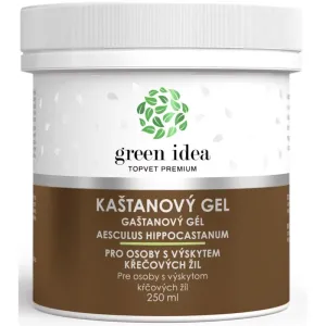Green Idea Chestnut Gel gel de massage veines et vaisseaux 250 ml