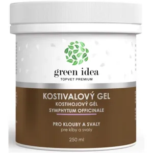 Green Idea Kostivalový gel gel de massage muscles et articulations 250 ml