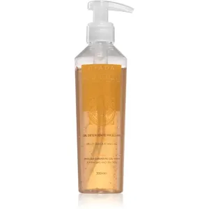 Gyada Cosmetics Reinassance gel micellaire nettoyant 200 ml #577880