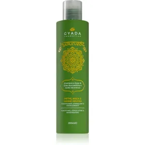 Gyada Cosmetics Hyalurvedic shampoing stimulant et rafraîchissant à l'acide hyaluronique 200 ml