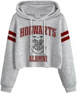 Harry Potter Hoodie Hogwarts Alumni Ladies Grey 2XL