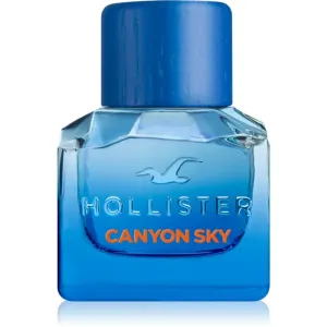 Hollister Canyon Sky For Him Eau de Toilette pour homme 30 ml