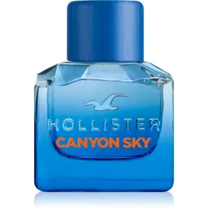 Hollister Canyon Sky For Him Eau de Toilette pour homme 50 ml
