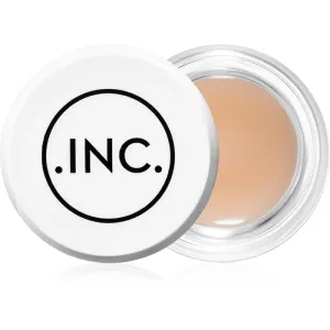 INC.redible Salve the Day baume protecteur visage et zones sensibles 10 g
