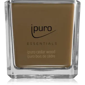 ipuro Essentials Cedar Wood bougie parfumée 125 g