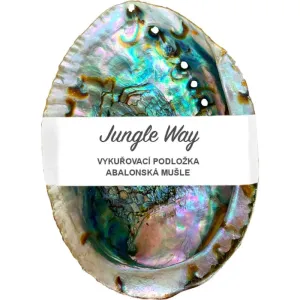 Jungle Way Abalone Shell plateau chauffant 1 pcs