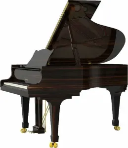 Kayserburg KA180T  Piano à queue #528232