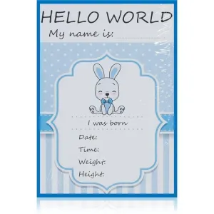 KidPro Milestone Cards Bunny For a Boy cartes-étapes