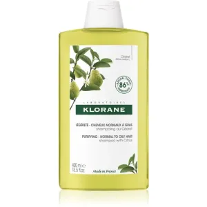 Klorane Cédrat shampoing purifiant pour cheveux normaux à gras 400 ml