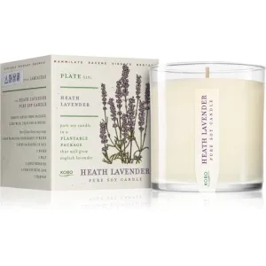 KOBO Plant The Box Heath Lavender bougie parfumée 283 g #118823