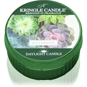 Kringle Candle Succulents bougie chauffe-plat 42 g